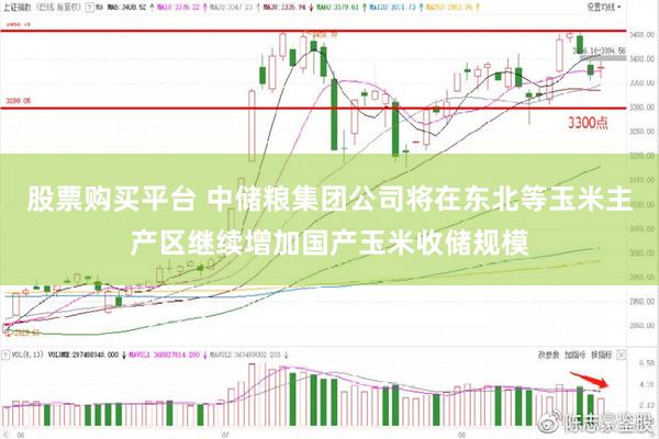 股票购买平台 中储粮集团公司将在东北等玉米主产区继续增加国产玉米收储规模