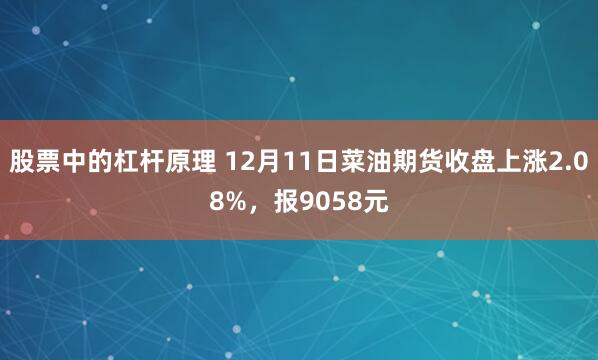 股票中的杠杆原理 12月11日菜油期货收盘上涨2.08%，报9058元