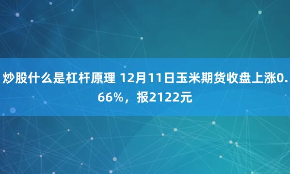 炒股什么是杠杆原理 12月11日玉米期货收盘上涨0.66%，报2122元