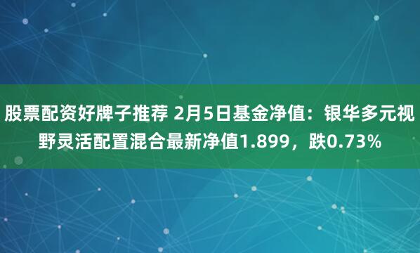 股票配资好牌子推荐 2月5日基金净值：银华多元视野灵活配置混合最新净值1.899，跌0.73%