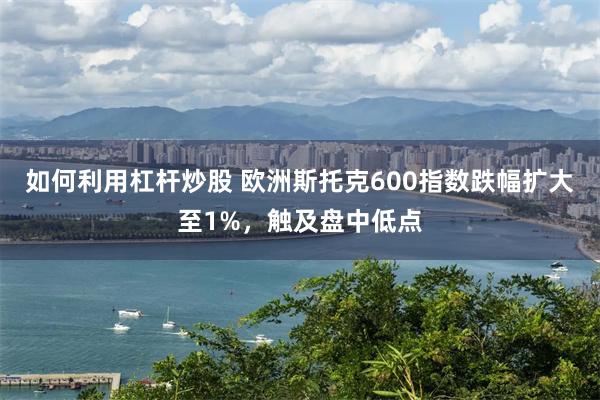 如何利用杠杆炒股 欧洲斯托克600指数跌幅扩大至1%，触及盘中低点