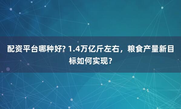 配资平台哪种好? 1.4万亿斤左右，粮食产量新目标如何实现？